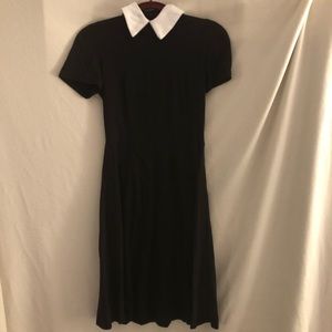 Black and White Collar Dress